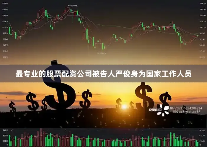 最专业的股票配资公司被告人严俊身为国家工作人员